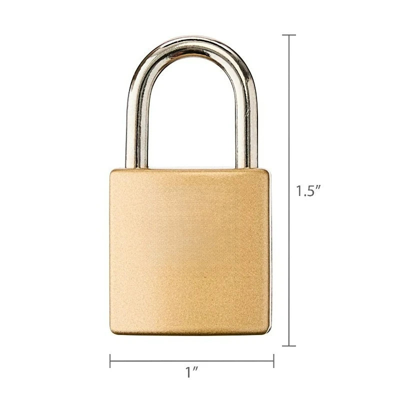 Luggage Locks, Gold, Set of 2